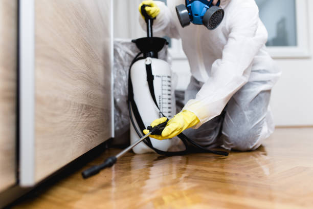 Best Affordable Pest Control Services  in Dyer, IN