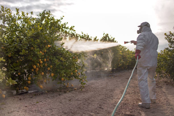 Best Commercial Pest Control Services  in Dyer, IN