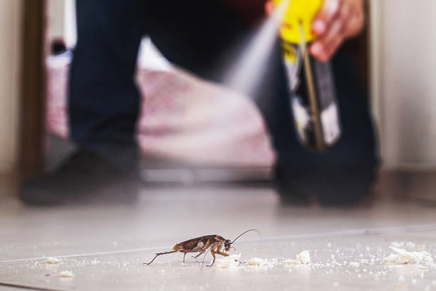 Best Pest Removal Services  in Dyer, IN