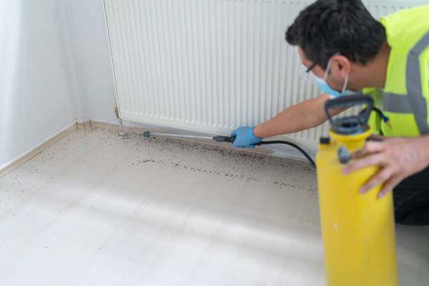 Best Residential Pest Control  in Dyer, IN