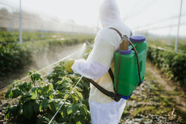 Pest Control for Restaurants in Dyer, IN